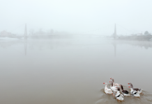 Foto vijest: Martinska Ves u magli