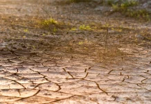Poništen Javni poziv za provedbu intervencije 78.a.01. Krizna plaćanja poljoprivrednicima nakon prirodnih katastrofa, nepovoljnih klimatskih prilika ili katastrofalnih događaja