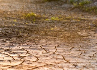 Poništen Javni poziv za provedbu intervencije 78.a.01. Krizna plaćanja poljoprivrednicima nakon prirodnih katastrofa, nepovoljnih klimatskih prilika ili katastrofalnih događaja